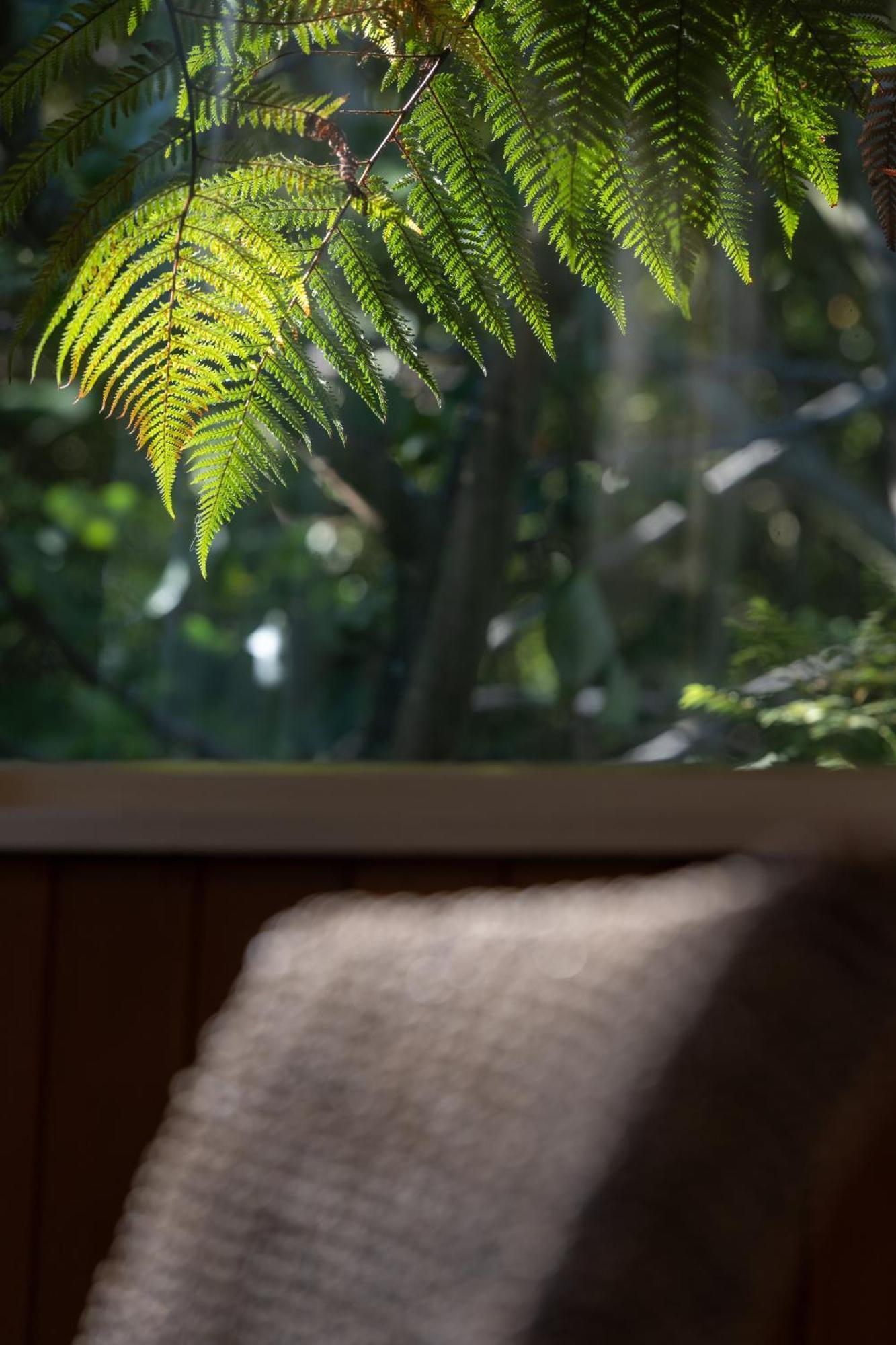Hidden Hideaway Vila Kaikoura Exterior foto